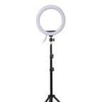 26cm Selfie Ring Light with Adjustable 7ft Stand  LED Light for YouTube, TikTok & Online Meetings